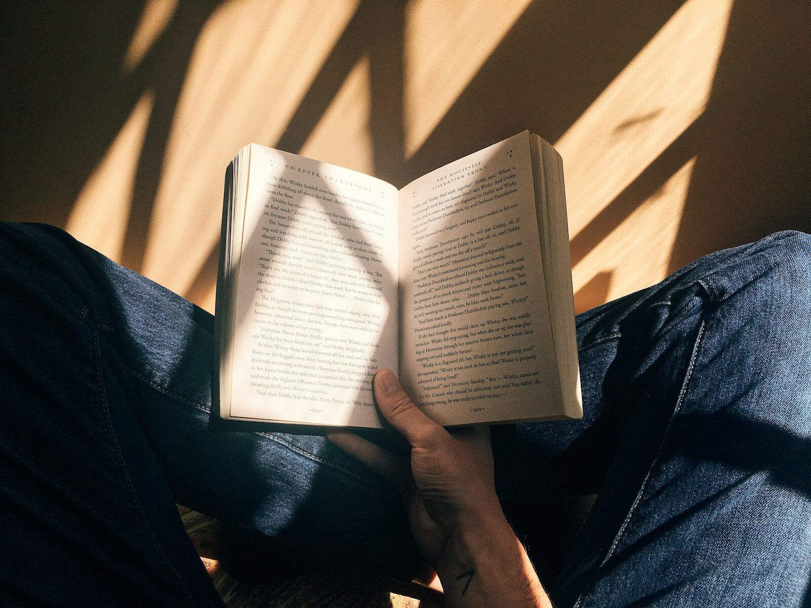 A reader seen from above holding an open book in warm sunlight, face not shown