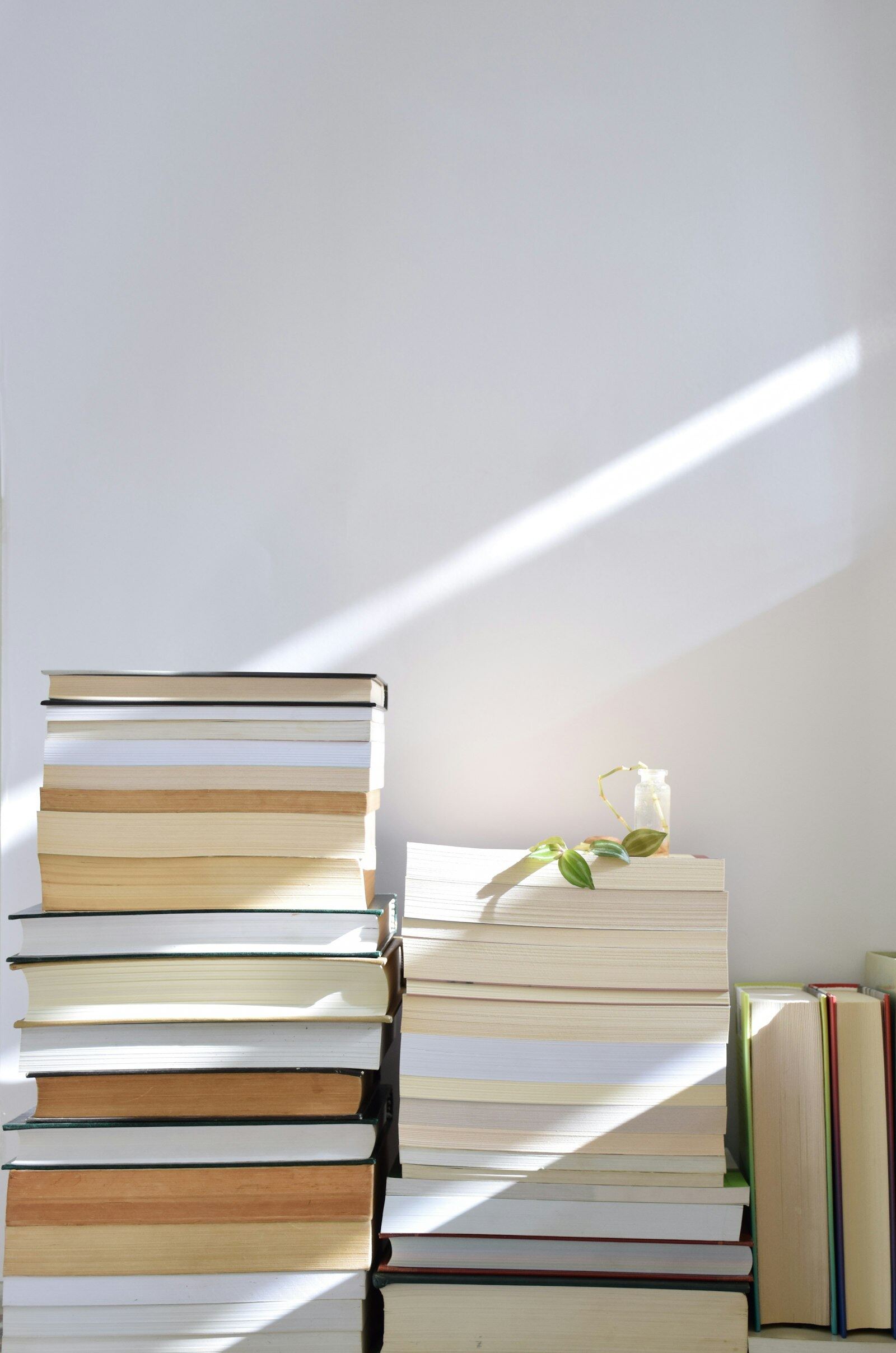Neat stacks of books in soft window light, no titles showing